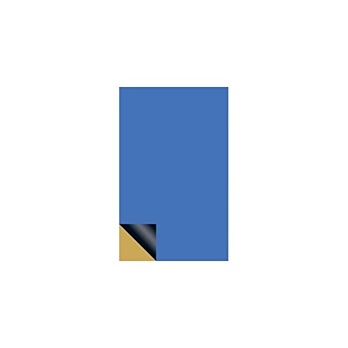 Preisvergleich Produktbild WR Rademacher Foto-Positiv-Platte HP Eins. 100X160MM