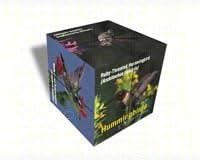 Impact Photographics IMP19PC Photo Cube HumBird North America