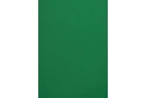 Netuno 50x farbiges Tonpapier Dunkel-Grün DIN A4 21 x 29,7 cm 120g Malmero Amazone grünes Bastelpapier farbig bedruckbar Farbpapier Kartonpapier Grün-Töne hochwertig für Broschüren Einladungen Poster