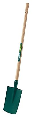 Leborgne 305281 Bêche à rebord 28 cm avec manche/pomme en Bois