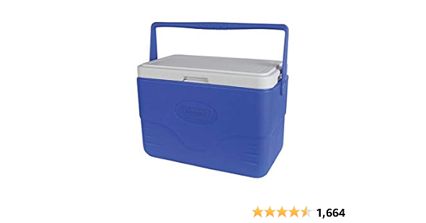 25 litre esky