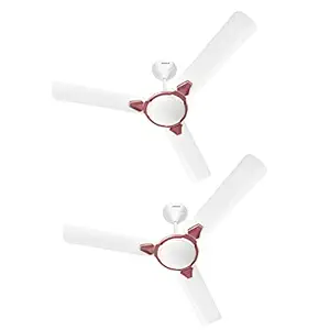 Havells Equs 1200mm Ceiling Fan (White Maroon, Pack of 2)