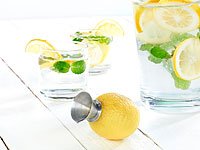 PEARL Zitrusfrucht-Entsafter mit Ausgießer, Edelstahl 18/8 - 8
