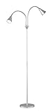 Decorativa y funcional Reality R42712187 Arras - Lámpara de pie con 2 luces, bombillas incluidas, SMD, LED, 3,8 W, 350 lm, 3000 K, 230 V, A++, IP20, alto 155 cm, diámetro 20 cm, plástico, titán