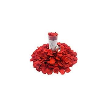 TELA PER MATRIMONIO, Anniversario, Festa Di Famiglia, Libro Degli