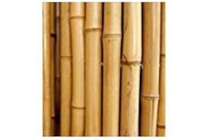 FERRITALIA CANNE IN BAMBOO PER SOSTEGNO ORTAGGI E ALTRI USI DA CM 150 (10)
