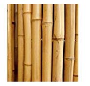 FERRITALIA Lot de 15 cannes de bambou pour potager et autres utilisations, 210 cm
