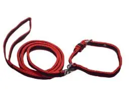 Eqous International Neck Collar Belts and Leash Set for Medium Dogs