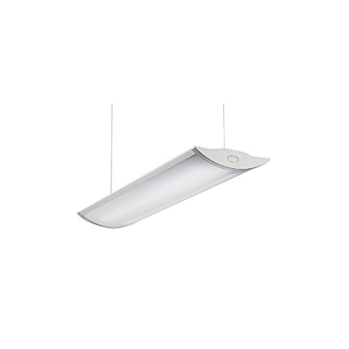Price comparison product image EVOTEC 08220 Wing Pendant