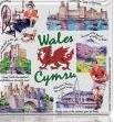 WELSH CYMRU FRIDGE MAGNET - GREAT SOUVENIR GIFT FROM WALES -6816