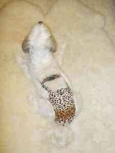 34 inches to cm pants