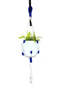 Fair Garden Solution Small Plant Hanger Wall Decor