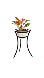 Explore Metal Plant Stand for Home,Indoor,Outdoor,Balcony Decor(26x20x45cm)
