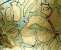 Variegated Blue/Green Metal Leaf