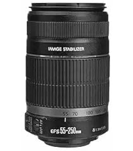 Canon EF-S 55-250mm f/4-5.6 is II Telephoto Zoom Lens for Canon