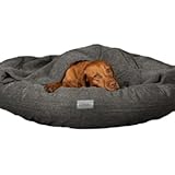 collared dog beds