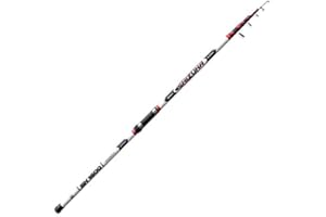 SHIZUKA Sh1600 Canna da Pesca Surfcasting Potente e Robusta Cima Sensibile