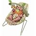 Fisher-Price - Cozy Cocoon Baby Bouncer Seat Woodsy Friends