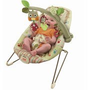 Fisher-Price - Cozy Cocoon Baby Bouncer Seat Woodsy Friends