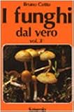 I funghi dal vero: 3