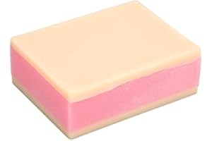 Modello di Addestramento della Sutura, ANGGREK 2 Strati di Pelle Modello di Addestramento della Sutura Cuscinetto per Esercizi di Iniezione Chirurgica della Pelle Cuscinetto per Esercizi di Sutura in