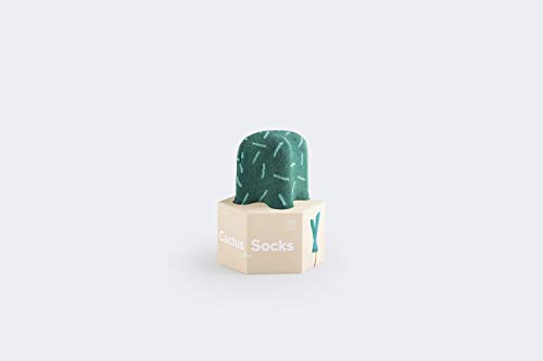Preisvergleich Produktbild DOIY Limited Kaktus Socken Astros, Mehrfarbig, 2-teilig