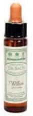 Ainsworths 10 ml Willow Bach Flower Remedy