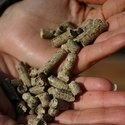 Holzpellets nach DIN Plus 30 Kg Sackware (2 Säcke a 15 KG)(Grundpreis Kg /0,533 - 4
