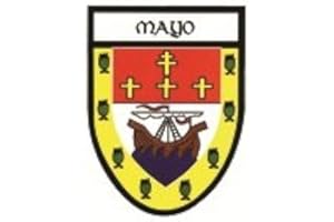 EUROSTICK Mayo Irish County Crest Shield Car Bike Sticker Decal Northern Ireland