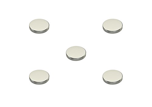 Jetzt noch stärker! 1 Liter Esocor® Magnetfarbe classic + 5 Neodym- Test Magnete Gratis – verleiht jeder Wand Anziehungskraft – stark magnethaftend – sehr Allergikerfreundlich – Ohne Konservierungsmittel – Ideal für sensible Innenräume - 3