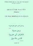 Image de Shaltish/Saltés (Huelva): Une ville médiévale d'Al-Andalus