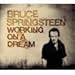 Produktbild Working on a Dream