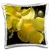 Produktbild Flowers - Dominican Republic, Punta Cana, Allamanda flower 16x16 inch Pillow Case