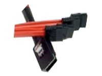 AMCC 3war Multi Lane Kabel (0,6 m, 4x SATA)