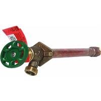 ARROWHEAD BRASS PRODUCTS 465-12LD FROST FREE HYDRANT 1/2FIPx3/4MIPx12 by Arrowhead