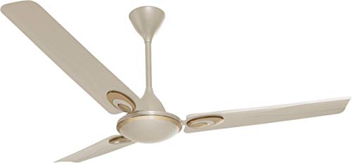 Buy Orient Tango Ceiling Fan Ivory Online At Lowest Price In India