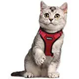 Cat-Kitten Body Harness with Lease Size : Large (Size: Neck Size : 32-34 cm circumferences X 20cm Length(Please Check Size in Photograph Before Buying)