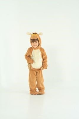 Fantastic TLC Gruffalo's Child Dress Up Outfit - 3-5 Years --