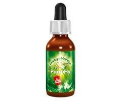 Price comparison product image Dr Robert O. Young Puriphy pH Drops (180 servings)