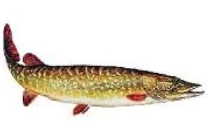 GENWJ AUFKLEBER HECHT (Groß - Länge ca: 23cm)