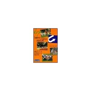 Fundamentos de Tactica Deportiva