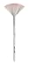 WET N WILD Fan Brush