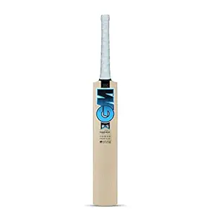 GM Diamond Excalibur English Willow Professional Cricket Bat for Men and Boys | Free Cover | Ready to Play | Lightweight | Short Handle|