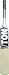 SS Ton Player Edition English Willow Cricket Bat, Short Hande RS.66799.00