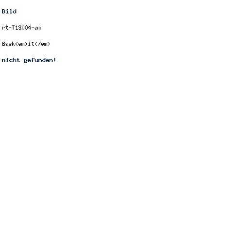 Preisvergleich Produktbild Racktime Baskit Large inkl. Snapit Adapter weiß