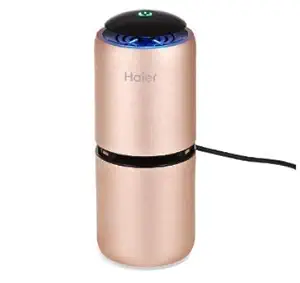 WorldCare Car Air Purifier Absorb PM2.5 Harmful Benzene Formaldehyde Haze Release Negative Ions