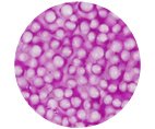Foam Clay®, neonlila, 560g - 3