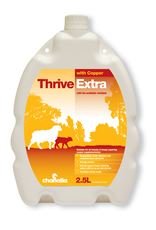 Preisvergleich Produktbild Chanelle Thrive Extra Kupfer x 2,5 l