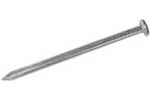 P & B Chiodi in Ferro Lucido TP Testa Piana 21X120 mm Cavatorta confezione 5 KG