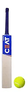 Top Team Popular Willow Cricket Bat and Free 1 Tennis Ball (Bat Size-5) for Cricket - (10-15 Years)